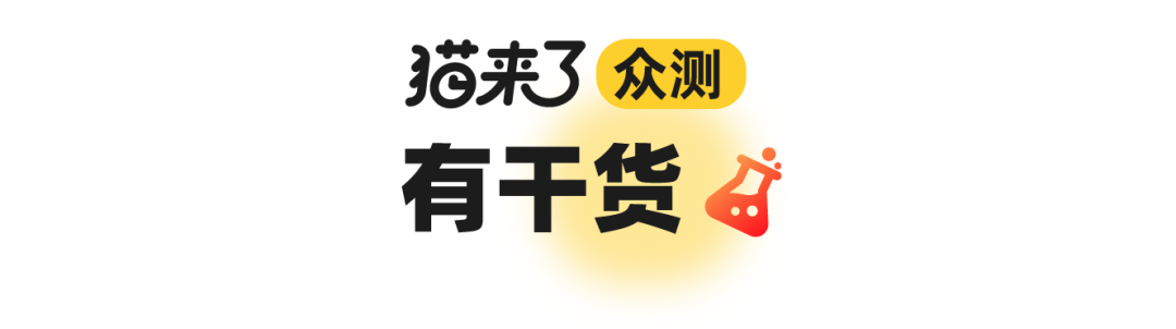 给小猫起名字