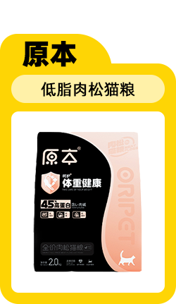 给小猫起名字