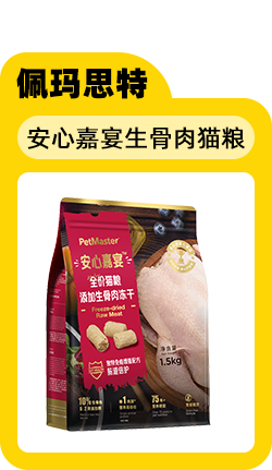 给小猫起名字