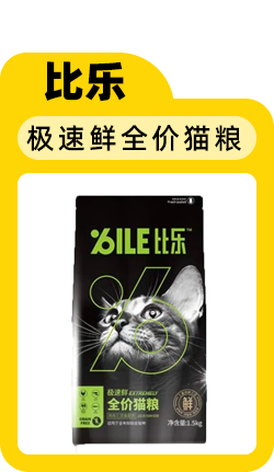 给小猫起名字