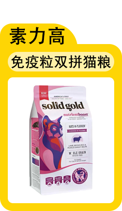 给小猫起名字