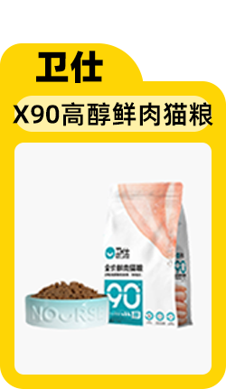 给小猫起名字