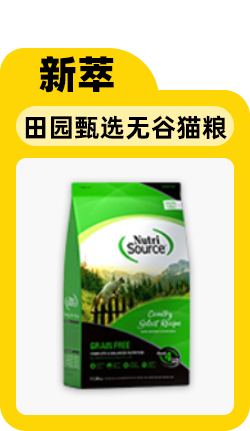 给小猫起名字