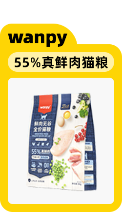 给小猫起名字