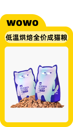 给小猫起名字