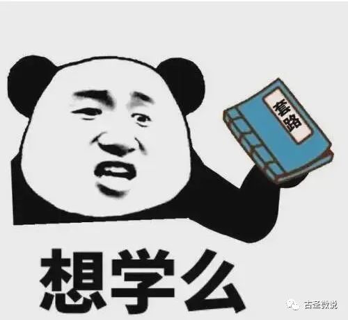 什么叫引流