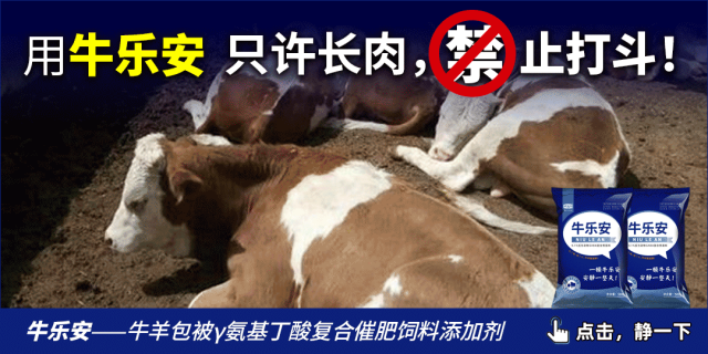 养殖业什么最赚钱农村