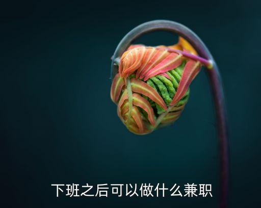 下班之后可以做什么兼职