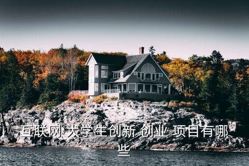 互联网 大学生创新 创业 项目有哪些