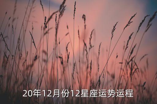 20年12月份12星座运势运程