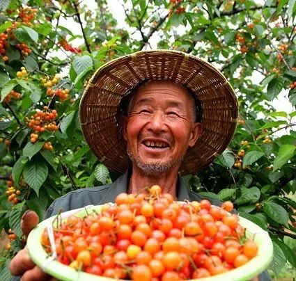 农村电商赚钱吗
