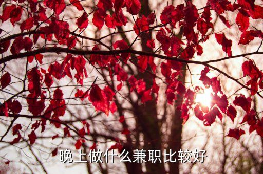 晚上做什么兼职比较好