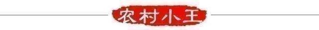 副业小县城创业