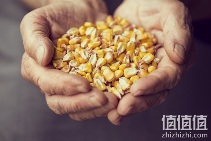 怎么选择泡打粉？泡打粉选购技巧