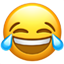 嫂子职业