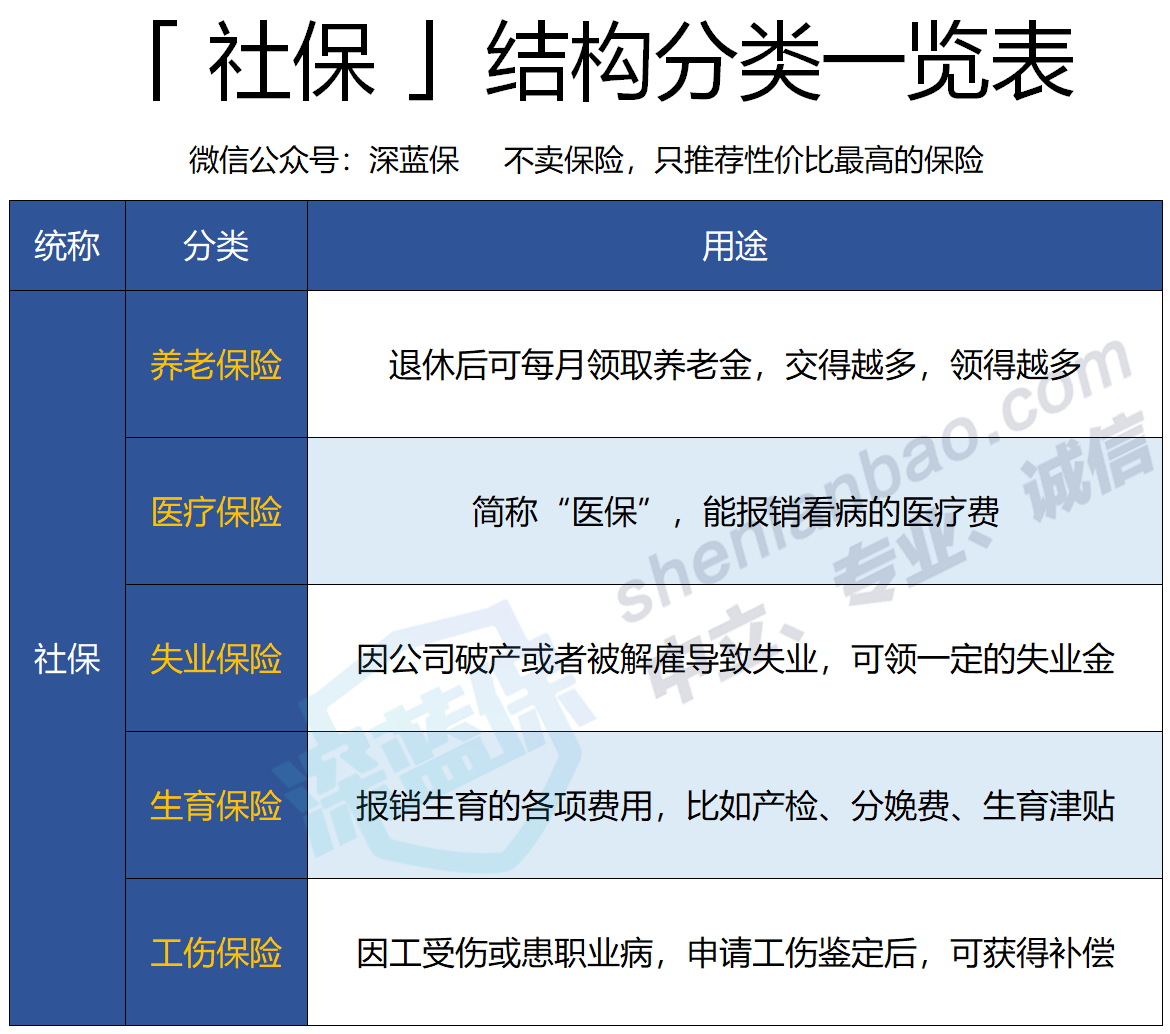 社保结构.png