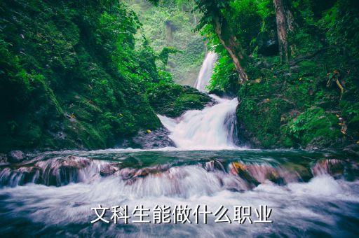 文科生能做什么职业