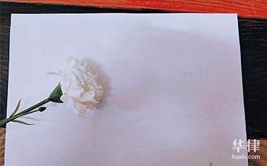 劳动合同中所说的五险一金指什么