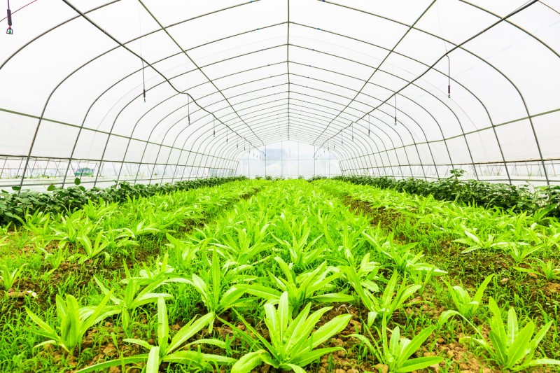 适合个人创业的创业小项目 适合个人创业的创业小项目