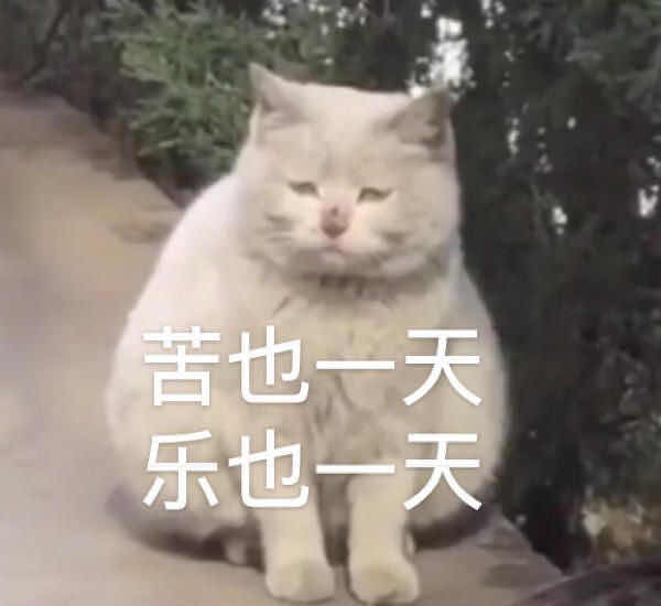 拼多多开网店找货源