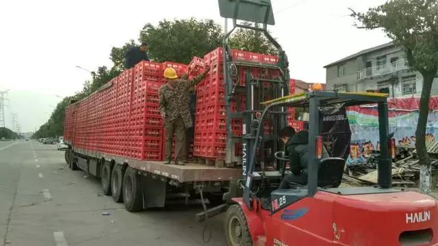 捞偏门30天纯赚48万