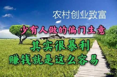 挣快钱路子偏门
