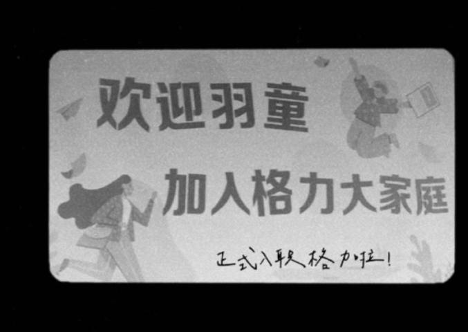 孟羽童现在去哪工作了