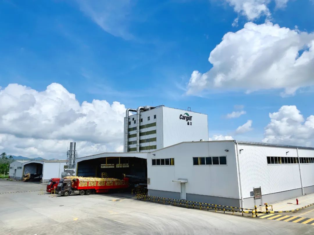 00后创业思路和方向