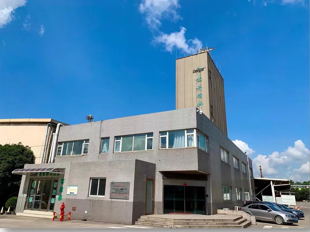 00后创业思路和方向