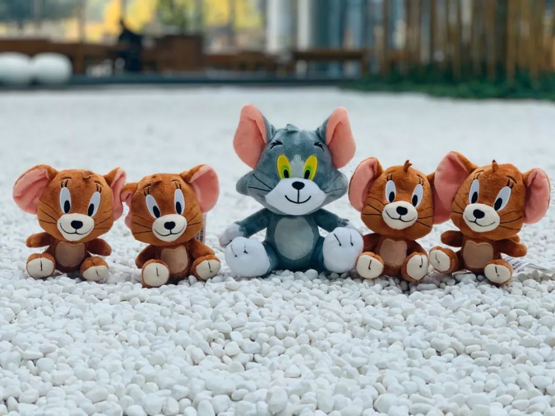 视频素材 视频素材