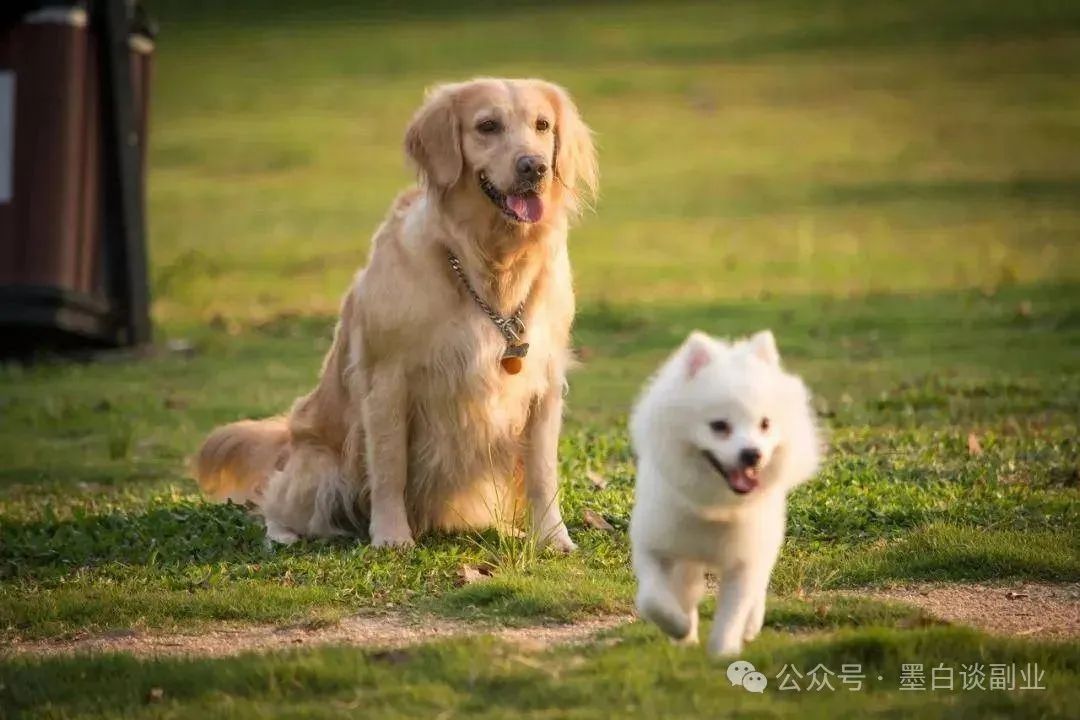 适合创业的蓝海项目