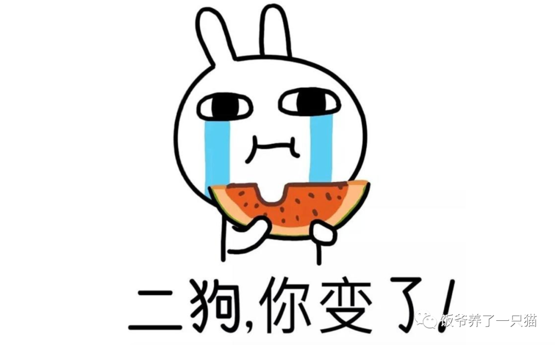 淘客自媒体经验范围