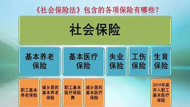 灵活就业社保和职工社保的区别