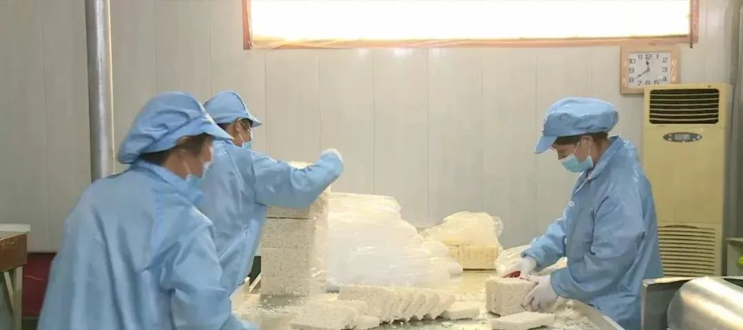 政府扶持办厂项目