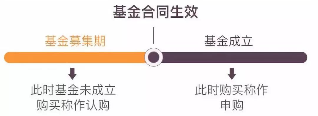 基金小白入门
