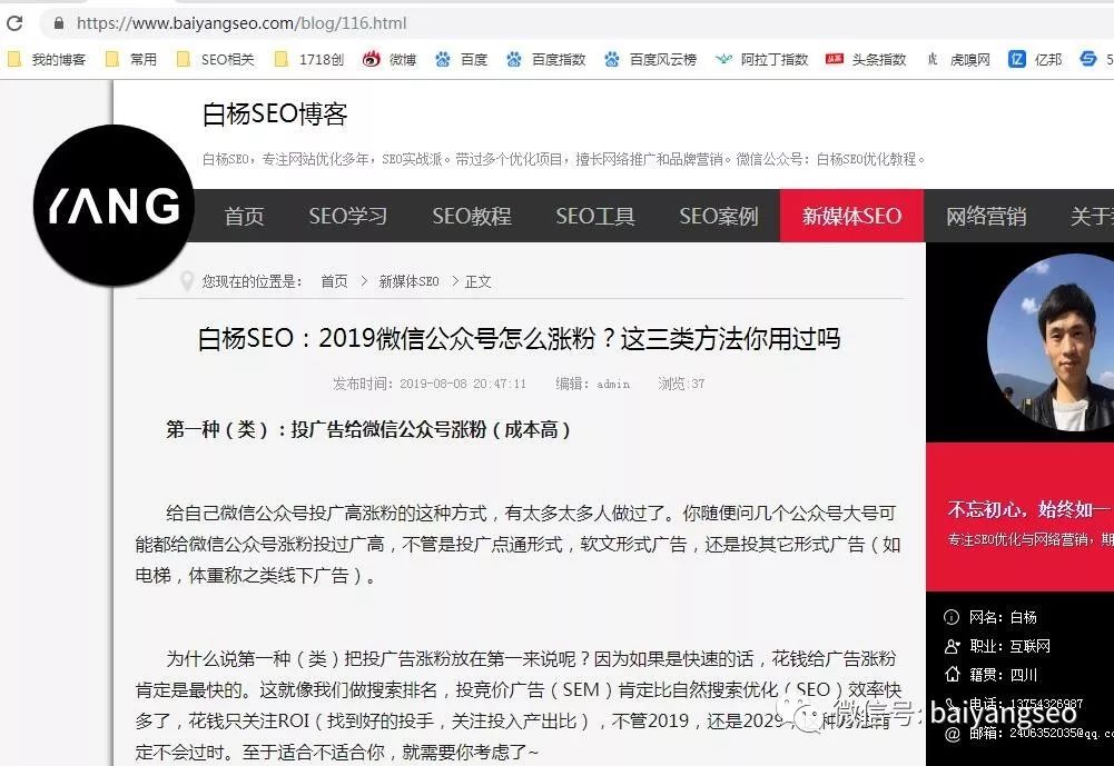seo关键词排名优化