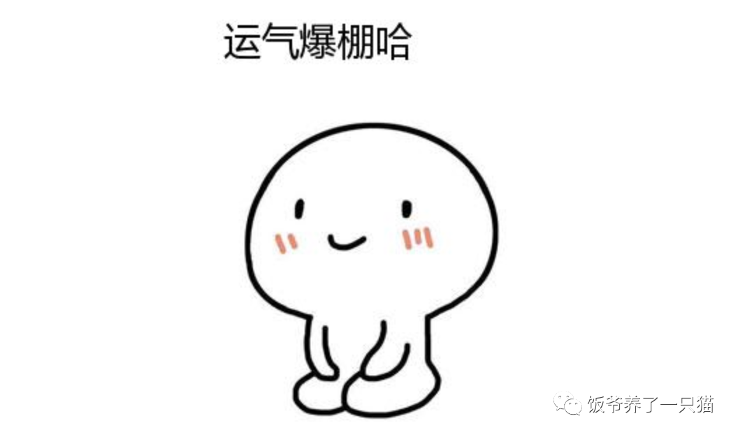 淘客自媒体经验范围
