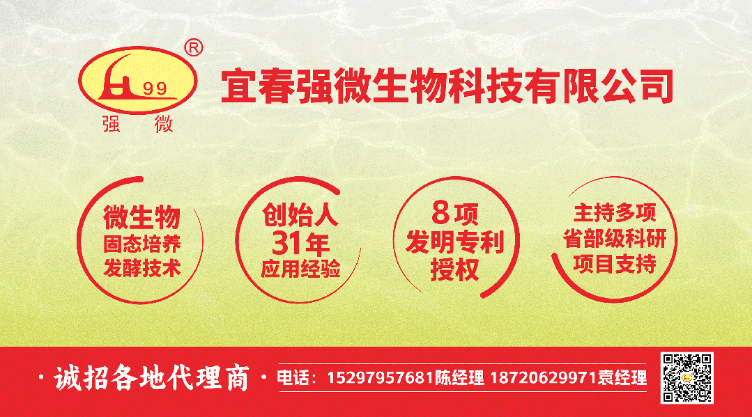 00后创业思路和方向