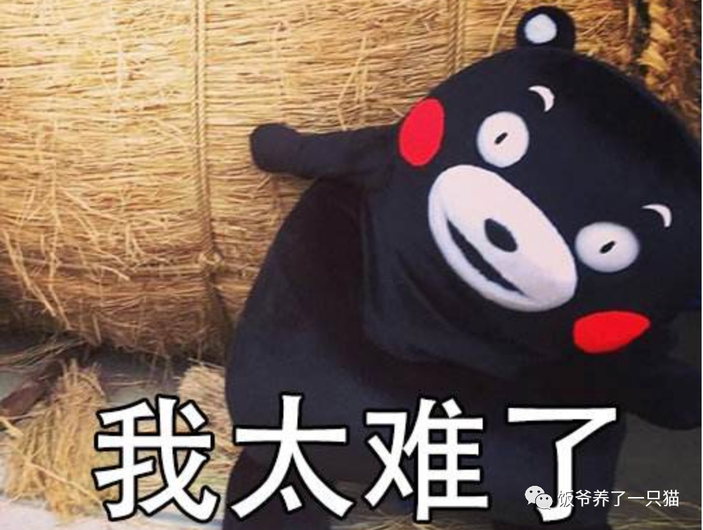 淘客自媒体经验范围