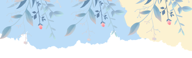 创业项目