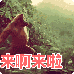 基金小白入门