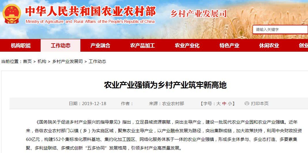 2024年致富小项目