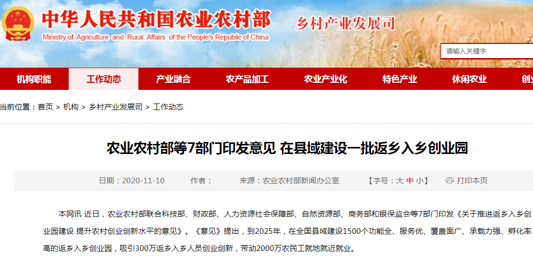 2024年致富小项目