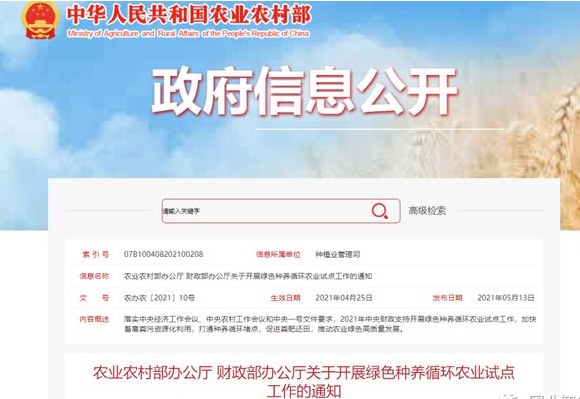 2024年致富小项目