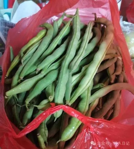 刷视频挣钱