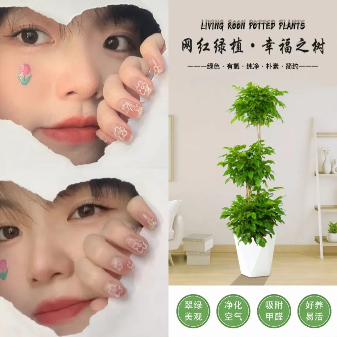 00后创业做什么好
