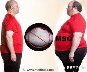 谷氨酸钠是味精吗