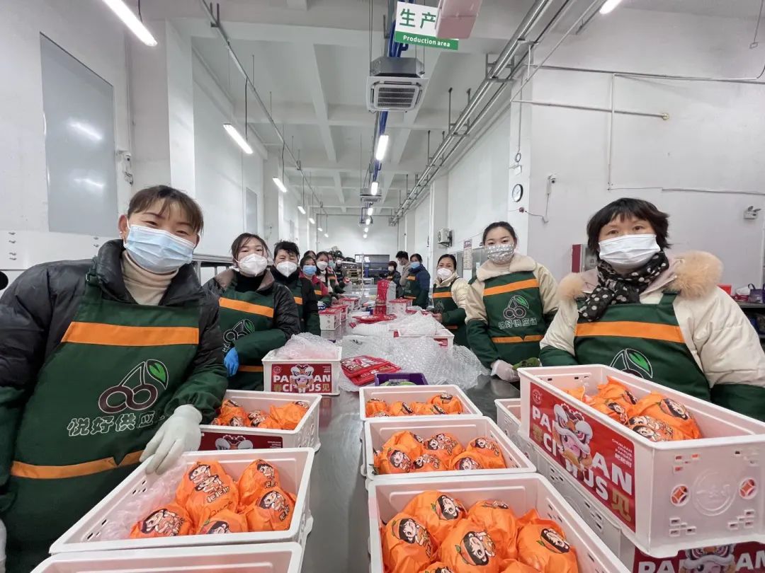 自发货和无货源区别在哪