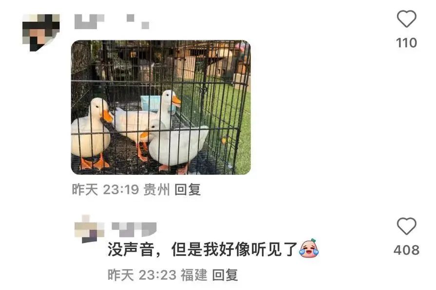 微信实况图 微信实况图