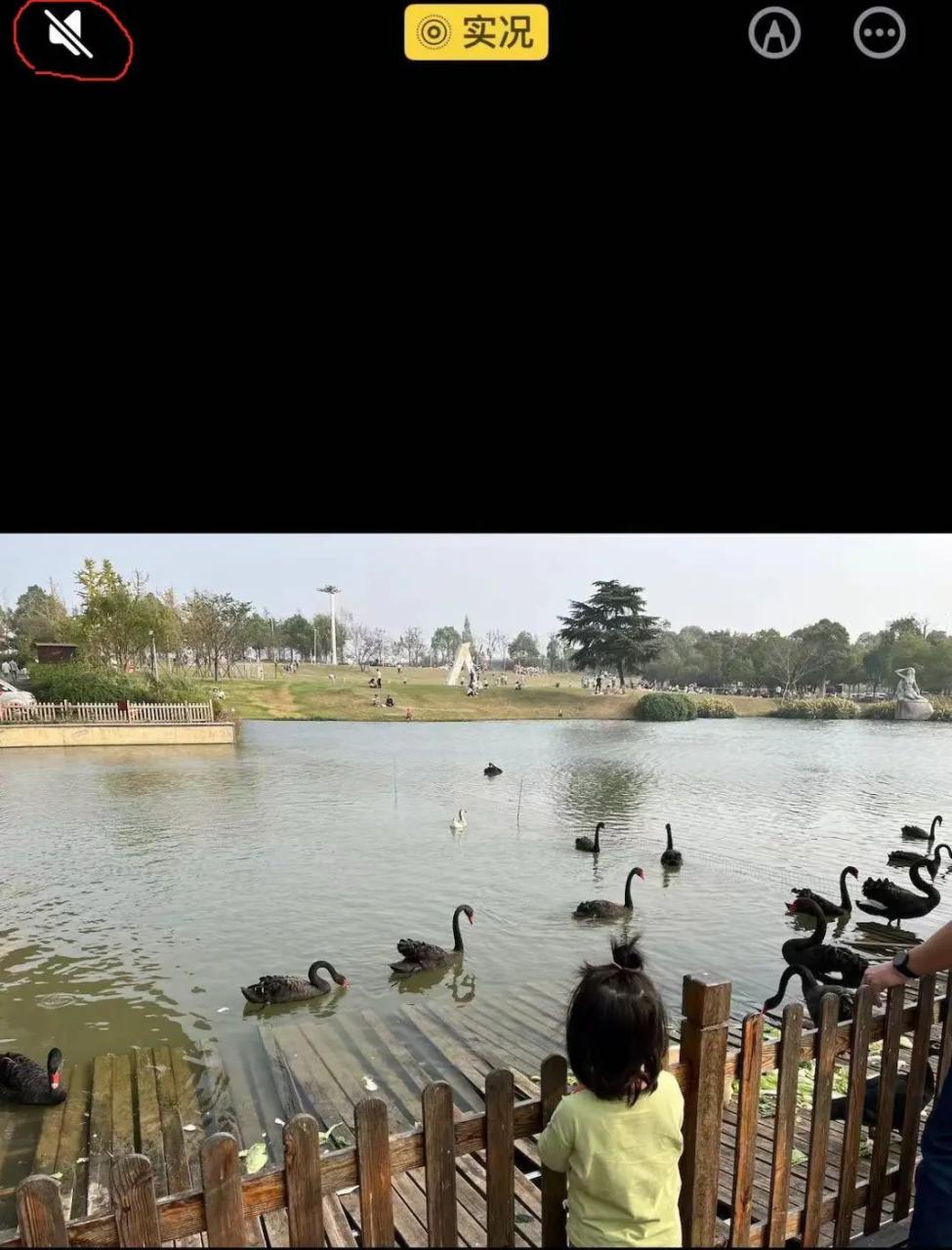 微信实况图 微信实况图